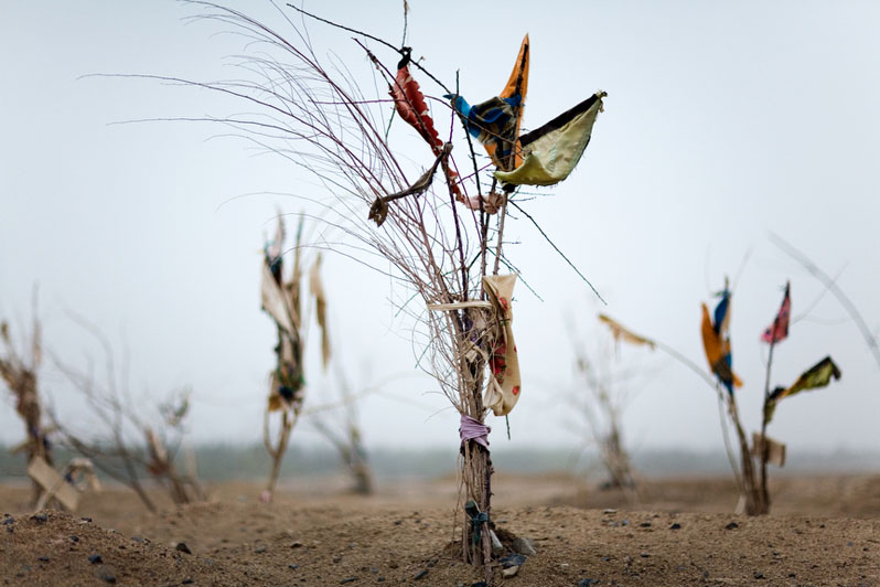 Black Garden (An Offering), 2009